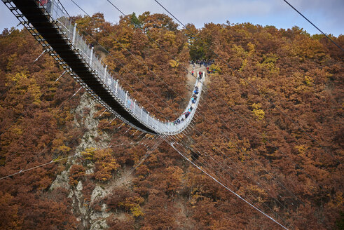 Deutschland, Rheinland-Pfalz, Hunsrück, Saar-Hunsrück-Steig, Drehbrücke Geierlay - BSCF000502