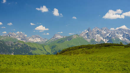 Germany, Bavaria, panoramic view of Fellhorn, alpine meadow with white hellebore - WGF000761