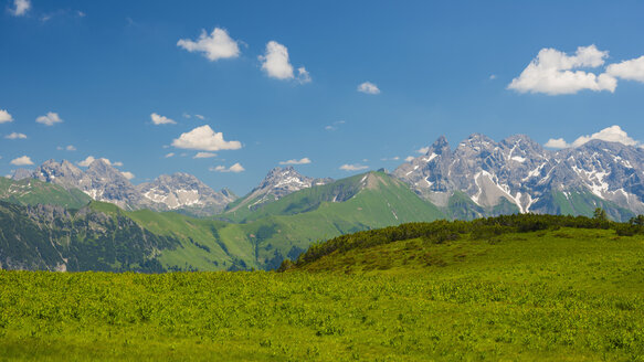 Deutschland, Bayern, Panoramablick auf das Fellhorn, Almwiese mit weißen Nieswurz - WGF000761