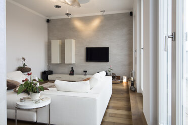 Interieur einer modernen Wohnung, Wohnzimmer mit weißer Couch - FKF001519