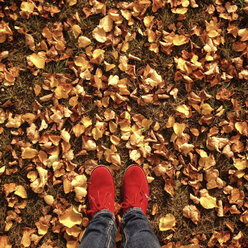 Feet in autumn leaves - LVF004151