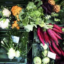 Assortment of vegetables - LVF004154
