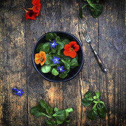 Feldsalat mit essbaren Blüten - LVF004159