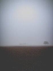 Germany, Baden-Wuerttemberg, Tuebingen, landscape in fog - LVF004162