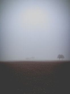 Deutschland, Baden-Württemberg, Tuebingen, Landschaft im Nebel - LVF004162