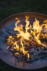 Fire in fire bowl - MYF001216