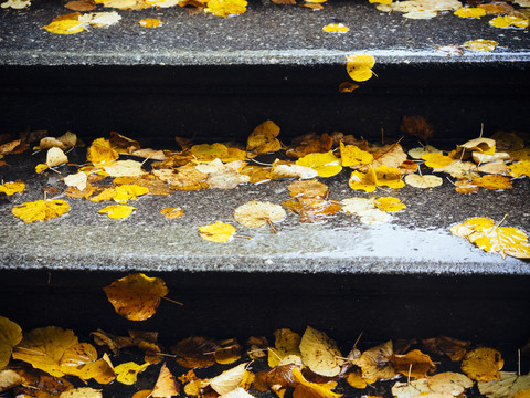 Herbstblätter auf Steintreppe, lizenzfreies Stockfoto