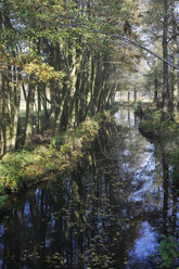 Deutschland, Brandenburg, Spreewald im Herbst - JTF000716