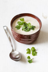 Bowl of vegan cauliflower soup with glass noodles - EVGF002510