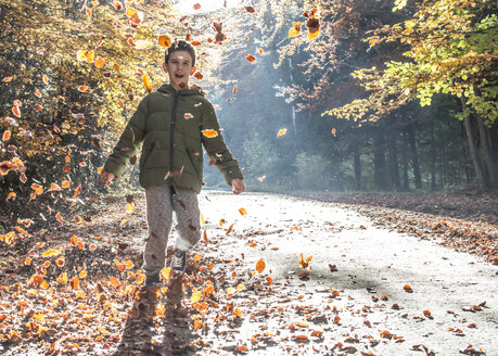 Junge spielt mit Blättern im herbstlichen Wald - DEGF000587
