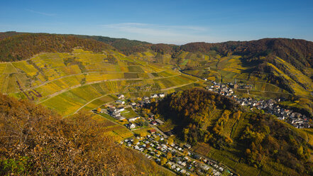 Deutschland, Rheinland-Pfalz, Eifel, Ahrtal, Mayschoss, Weinberg im Herbst - WGF000762