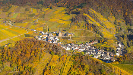 Deutschland, Rheinland-Pfalz, Eifel, Ahrtal, Mayschoss, Weinberg im Herbst - WGF000766