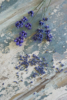 Lavendelblüten auf Holz - ASF005750