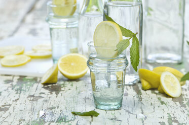 Zitronenscheibe und Minze im Wasserglas, Flasche - ASF005761