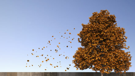 3D Rendering, Baum und fallende Blätter im Herbst - UWF000679