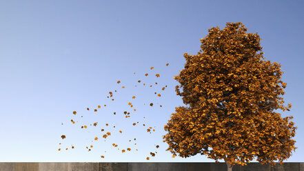 3D Rendering, tree and falling leaves in autumn - UWF000679