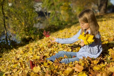 Kleines Mädchen spielt mit Herbstblättern - YFF000481