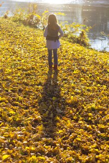 Rückenansicht eines kleinen Mädchens, das auf Herbstblättern am Flussufer steht - YFF000482