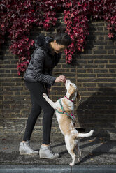 UK, London, woman rewarding her dog - MAUF000042