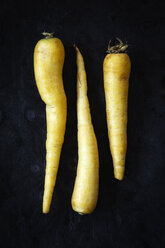 Yellow carrots - EVGF002517