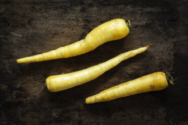 Yellow carrots - EVGF002518