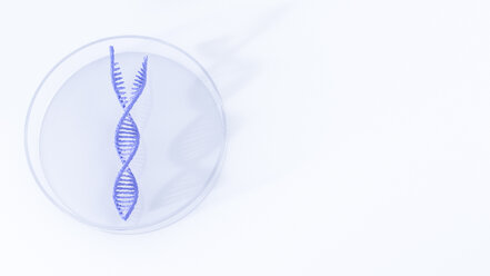 Separated DNA in petri dish, illustration - AHUF000067