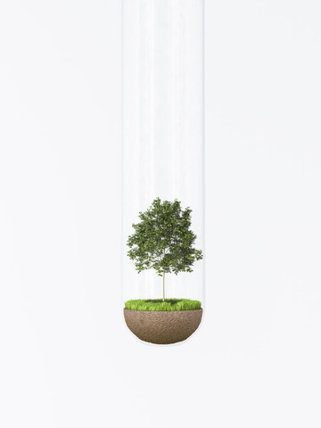 Kleiner Baum im Reagenzglas, Illustration, lizenzfreies Stockfoto