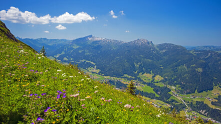 Alps, panoramic view from Fellhorn over Little Walser Valley towards Hoher Ifen, Gottesacker and Toreck - WGF000769