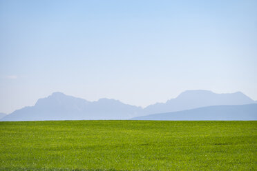 Deutschland, Oberbayern, Grüne Wiese mit Alpen im Hintergrund - SIEF006862