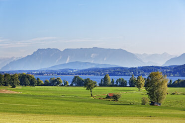 Deutschland, Oberbayern, Waginger See mit Untersberg - SIEF006863