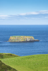Nordirland, Atlantik, Blick auf Insel, Schafweide - ELF001723