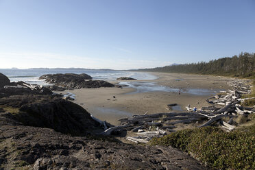 Kanada, Vancouver Island, Longbeach, Treibholz am Strand - TMF000065