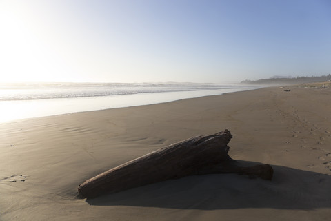 Kanada, Vancouver Island, Longbeach, Treibholz am Strand, lizenzfreies Stockfoto