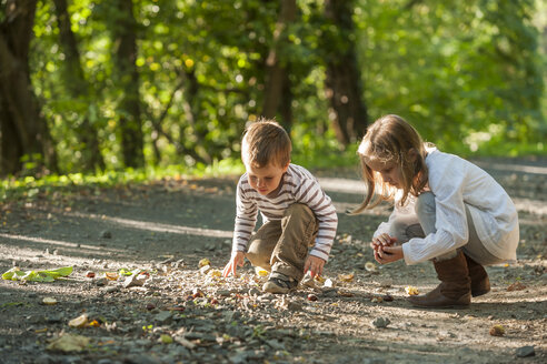 Kinder beim Kastaniensammeln auf dem Waldweg - PAF001474