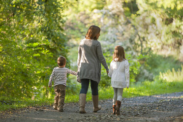 Rückenansicht einer Mutter, die mit ihren Kindern auf einem Waldweg spazieren geht - PAF001475