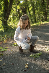 Girl collecting chestnuts on forest track - PAF001478