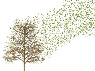 3D Rendering, Baum und fallende Blätter im Herbst - UWF000684