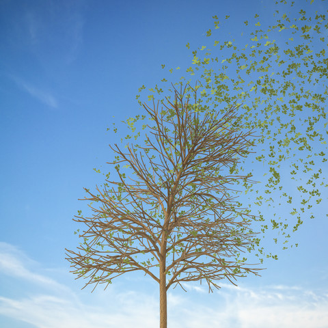 3D Rendering, tree and falling leaves in autumn stock photo