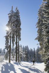 Germany, Bavaria, Bohemian Forest in winter, female snowshoe hiker - FOF008356