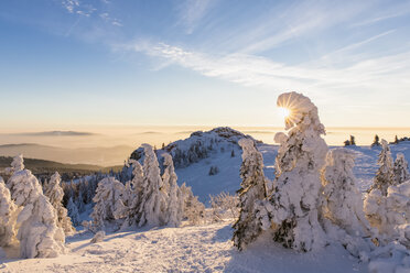 Germany, Bavaria, Bohemian Forest in winter, Richard-Wagner-Head and Great Arber at sunset - FOF008364