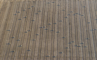 Germany, Lower Saxony, Hildesheim, aerial view of straw bales on field - PVCF000725