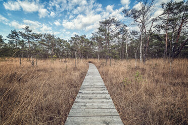 Austria, Ibmer Moorweg in autumn, boardwalk - OPF000092