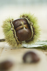 Sweet chestnuts - ASF005776