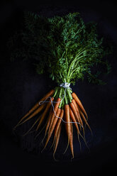 Bunch of carrots - KSWF001679