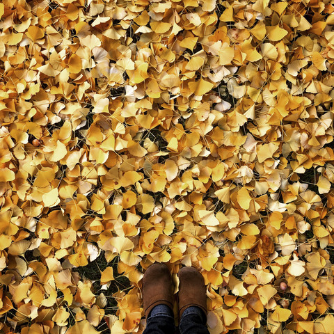 Feet in autumn leaves stock photo