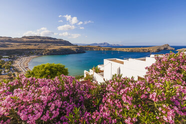 Griechenland, Rhodos, Lindos, Ansicht der Bucht. Oleander im Vordergrund - WDF003433