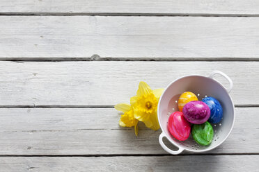 Colander of Easter eggs and daffodils on wood - CSF026792