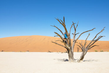 Namibia, Namib-Wüste, Mann auf totem Baum in Deadvlei - GEMF000522