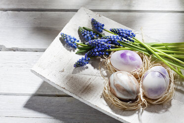 Drei Nester mit Ostereiern und Traubenhyazinthen auf Holzschale - CSF026854