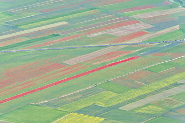 Italien, Umbrien, Monti Sibillini National Park, Luftaufnahme der Felder am Piano Grande von Castelluccio di Norcia während der Blütezeit - LOMF000112